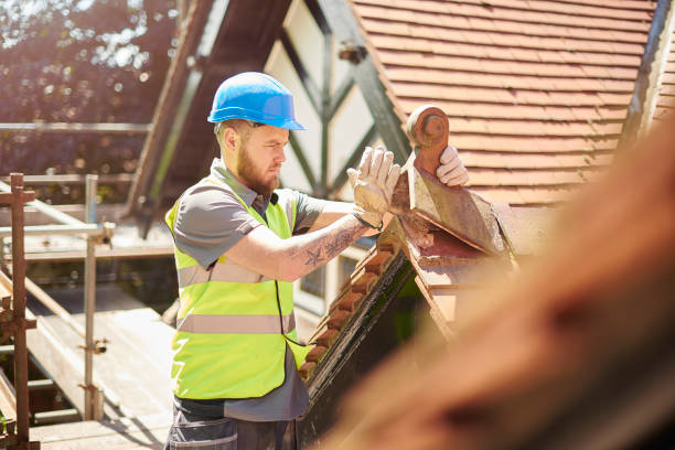 Best Roof Gutter Cleaning  in North Plymouth, MA